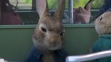 比得兔：兔子看见主人和别人亲近，居然也会吃醋，太可爱了