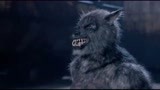 《半狼传说》片段，狼人大战，女拳手相助命悬一线
