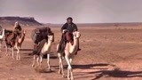 沙漠女王：贝尔和她的骆驼队跨越沙漠，遇见了绿洲