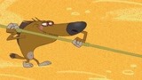 鬣狗决定撑杆跳 不参加奥运会可惜了