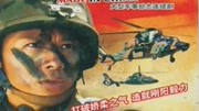 中国造