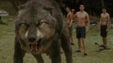 《暮光之城2》贝拉激怒了狼人，谁想雅各布霸气变身救场，太帅了