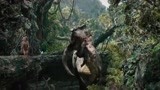 金刚：森林危险重重，丹劳被动物追逐，差点被吃了