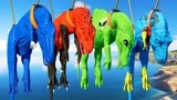 侏罗纪世界恐龙争霸战：蓝色巨龙与变异蜘蛛侠霸王龙搏斗