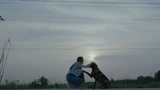 《战狼犬》主人即将离开 狗狗不舍追车