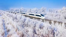 松花江畔再现雾凇景观 银白色高铁在林海冰花中驶过如穿越＂仙境＂