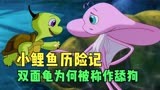 小鲤鱼历险记：双面龟为何被称为舔狗？泡泡终于获得金鳞认可