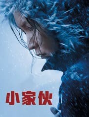 小家伙