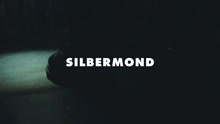 Silbermond - Verletzen 现场版