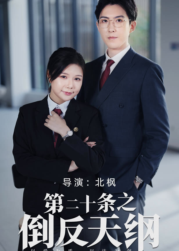 第二十条之倒反天纲