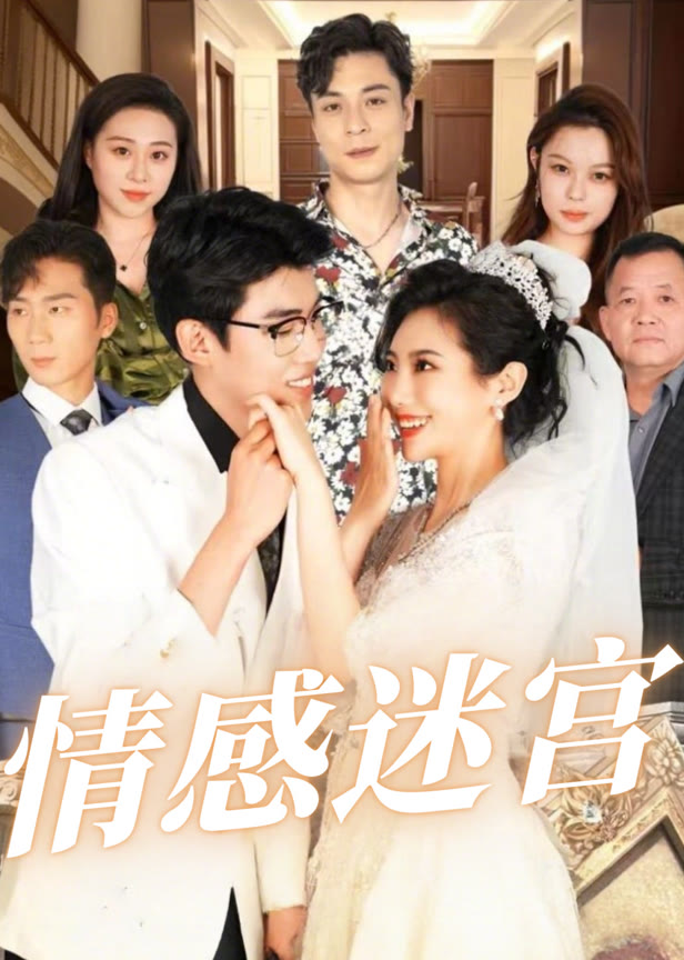 情感迷宫