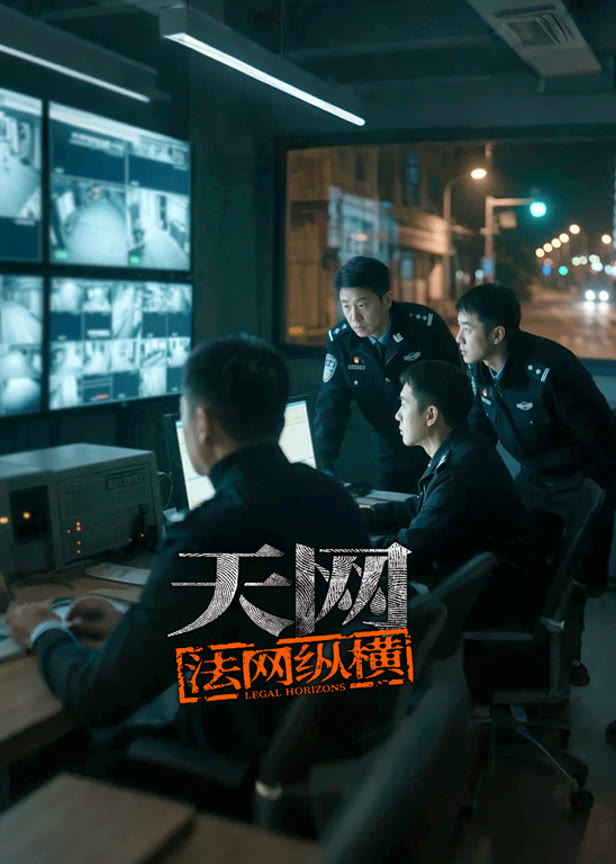 天网:法网纵横