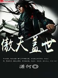 傲天盖世