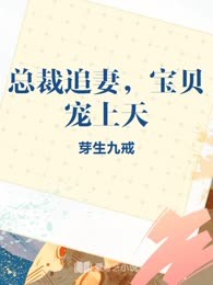总裁追妻，宝贝宠上天
