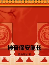 神奇保安队长