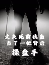 丈夫死前我当了一把背后操盘手