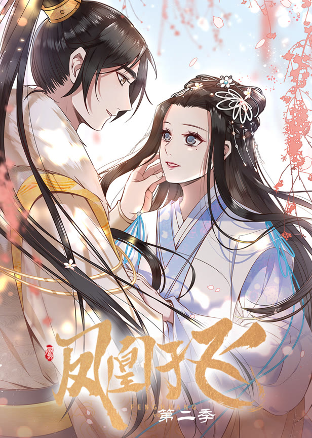 凤凰于飞第二季