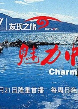 魅力文化中国}