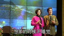 1993年央视春晚 阎维文歌曲《想家的时候》