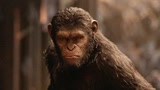 猩球崛起2（片段）猿族两大首领战力PK