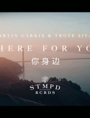 Martin Garrix ft Troye Sivan - There For You (Chinese Subtitles)