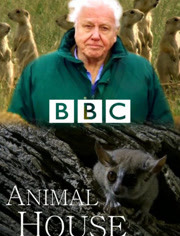 BBC：动物居所