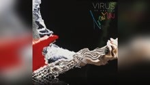 Virus - Transeunte Sin Identidad (Pseudo Video)