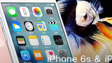 iPhone 6s & 6s Plus 消费者报告