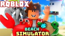 Roblox沙滩探宝模拟器！