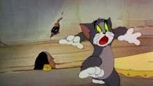 猫和老鼠 第13集 扬基都德鼠