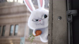 《爱宠大机密2》席卷明年暑期档，那只贱萌的小兔子你还记得吗？