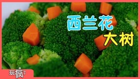 Watch the latest 玩疯了美食课 Episode 3 (2017) with English subtitle English Subtitle
