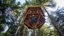 在森林里建造9米高树屋