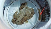 清洗洗衣机