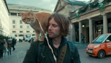 流浪猫鲍勃：一人一猫上演冬日暖心合唱 治愈吸猫电影来啦