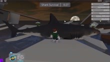 如何躲过会飞的鲨鱼？