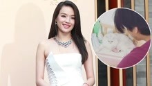 Watch the latest 冯德伦对猫弹唱情歌 舒淇晒老婆视角视频 (2019) online with English subtitle for free English Subtitle