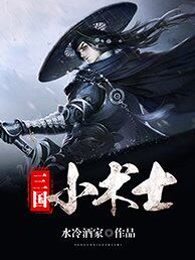 三国小术士