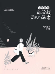 隐婚独宠：肖总裁的小萌妻