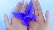 手工纸折-蝴蝶