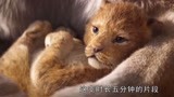 真人版《狮子王》：时长五分钟的片段，赢得观众热烈掌声！