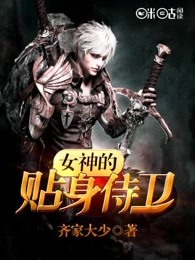 女神的贴身侍卫