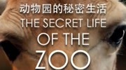 动物园的秘密生活第4季