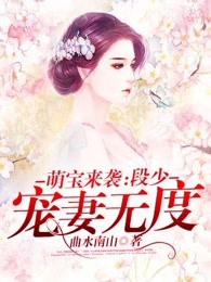 萌宝袭来：段少宠妻无度