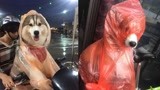 堪比冲凉大雨来的猝不及防