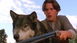 伊桑·霍克主演的冒险片《雪地黄金犬》：这是我见过最有灵性的狗