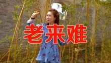 民间小调老来难简谱_民间小调信天游简谱(3)