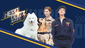 Watch the latest Hero Dog (Season 3) Episode 10 online with English subtitle for free English Subtitle