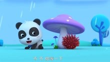 奇奇发现避雨的小蘑菇！