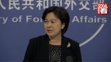 美国议员竟称香港警方暴力应对示威 华春莹两次疾呼：他怎么敢！